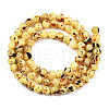 Drawbench Style Dyed Natural Freshwater Shell Beads Strands SHEL-T019-01B-3