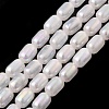 Natural Selenite Beads Strands G-F750-B-20-2