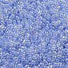 Ceylon Glass Seed Beads SEED-K009-02B-31-3
