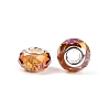 Transparent Glass European Beads GPDL-N004-D14mm-A06-2