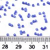 FGB 11/0 Grade A Glass Seed Beads SEED-S030-1010-4