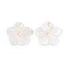 Natural Freshwater Shell Buttons SHEL-N038-11-3