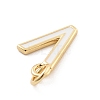 Rack Plating Brass Pendants KK-C065-05V-G-2