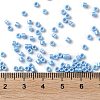 Baking Paint Glass Seed Beads X-SEED-S042-15A-11-4