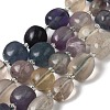 Natural Fluorite Beads Strands G-Q169-E07-01-1