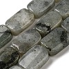 Natural Labradorite Beads Strands G-M420-M02-02-1