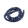 Natural Sodalite Beads Strands G-N326-148C-2