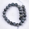Natural Hawk's Eye Beads Strands X-G-S333-8mm-027-2