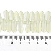 Electroplate Glass Beads Strands EGLA-C005-01A-FR02-4