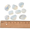 Opalite Beads X-G-S218-25-2