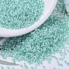 MIYUKI Delica Beads SEED-JP0008-DB0626-1