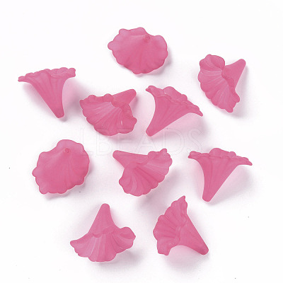 Transparent Acrylic Beads X-BSF796-C16-1