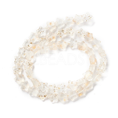 Transparent Glass Beads Strand GLAA-F112-04K-1