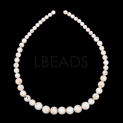 Synthetic Turquoise and Sea Shell Assembled Graduated Beads Strands GG-CBA2AE1-A07-1