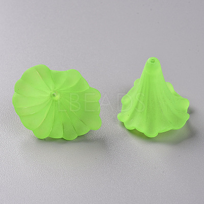 Transparent Acrylic Beads BSF796-C18-1
