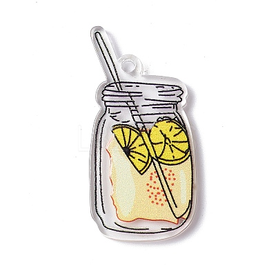 Transparent Printed Acrylic Pendants LS-TACR-G042-01D-1
