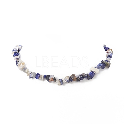 Natural Sodalite Chip Beaded Necklaces with 304 Stainless Steel Lobster Claw Clasp & Chain Extender NJEW-JN04225-02-1
