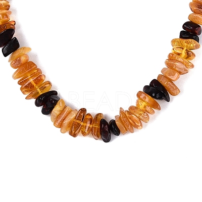 Natural Amber Chip Beaded Necklaces NJEW-N064-07-1