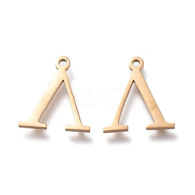 304 Stainless Steel Charms STAS-L263-10G-1