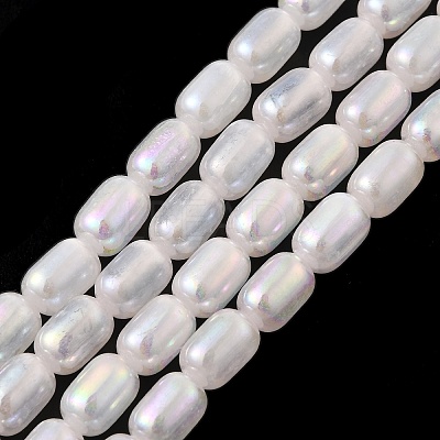 Natural Selenite Beads Strands G-F750-B-20-1