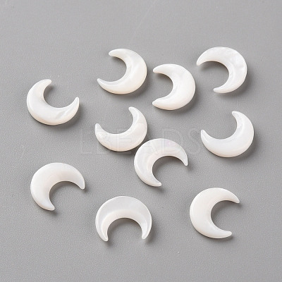 Natural White Shell Beads SSHEL-Q311-004A-02-1