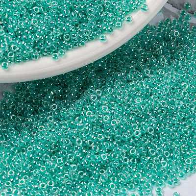 MIYUKI Round Rocailles Beads X-SEED-G009-RR0536-1