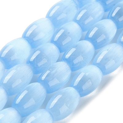 Macaron Color Natural Selenite Beads Strands G-B102-A01-07-1