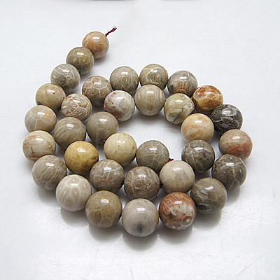 Natural Fossil Coral Beads Strands G-G212-6mm-31-1