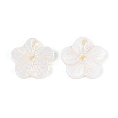 Natural Freshwater Shell Buttons SHEL-N038-11-1