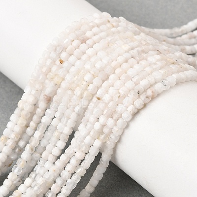 Natural Rainbow Moonstone Beads Strands G-G140-C01-02-1