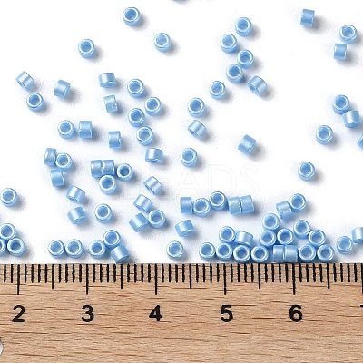 Baking Paint Glass Seed Beads X-SEED-S042-15A-11-1