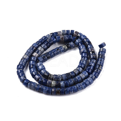 Natural Sodalite Beads Strands G-N326-148C-1