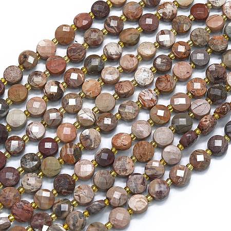 Natural Bloodstone Beads Strands G-K389-B59-01-1