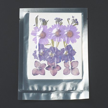 Pressed Dried Flowers X-DIY-H153-A07-1