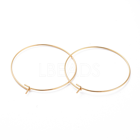 316 Surgical Stainless Steel Hoop Earring Findings X-STAS-J025-01E-G-1