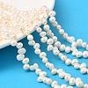 Natural Cultured Freshwater Pearl Beads Strands PEAR-I007-04A-02C-1