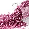 TOHO Round Seed Beads SEED-TR15-2218-1
