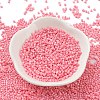 Baking Paint Glass Seed Beads X-SEED-S042-05B-86-2