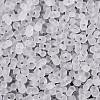 FGB Frosted Transparent Glass Seed Beads SEED-N013-06A-01-3