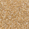 MIYUKI Delica Beads SEED-X0054-DB0099-3
