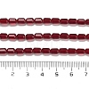 Transparent Glass Beads Strands GLAA-G112-05B-4