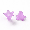 Transparent Acrylic Beads PLF018-04-5