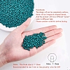 6/0 Baking Paint Glass Seed Beads SEED-OL0002-09-4mm-16-2