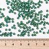 MIYUKI Round Rocailles Beads SEED-X0055-RR0354-4