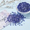 6/0 Glass Seed Beads SEED-YW0001-25E-5