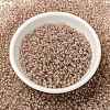 MIYUKI Round Rocailles Beads SEED-X0055-RRHB279-2