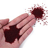 15/0 Transparent Czech Glass Seed Beads SEED-N004-004-28-5