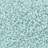 TOHO 11/0 Round Beads X-SEED-TR11-PF2116-2