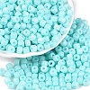 Opaque Baking Paint Glass Seed Beads SEED-T008-02N-1