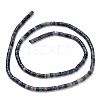 Natural Sodalite Beads Strands G-P608-A08-01-3